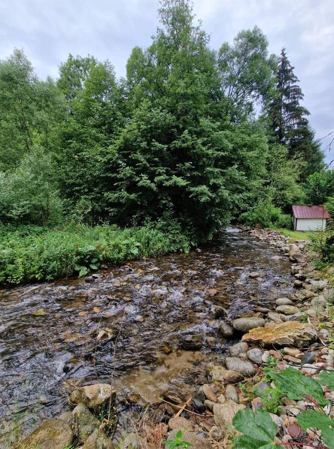 Dom Bystra Pod Chopkom & Wellness Sebesér Kültér fotó